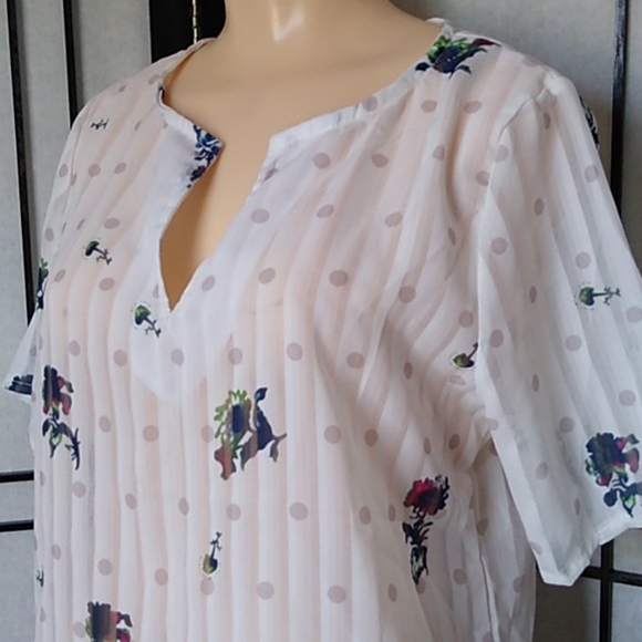 Super cute Sheer Blouse - Picture 2 of 3